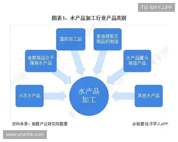 网球运动发展历程与未来趋势探讨：从经典单打到多样化竞技形式
