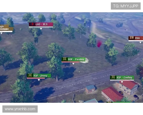 和平精英巨献：深入解析RNG战队的极速战术与团队协作