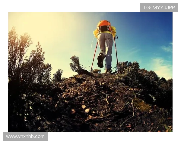攀岩女神李丽专访揭秘成功背后的坚持与努力