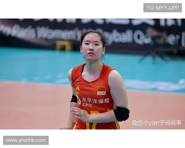 武汉排球队实力飙升排球力量排名创历史新高