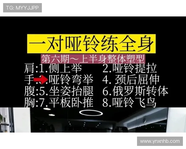 打造高效燃脂增肌计划全面提升健康与体能的新健身生活方式 打造高效燃脂增肌计划全面提升健康与体能的新健身生活方式
