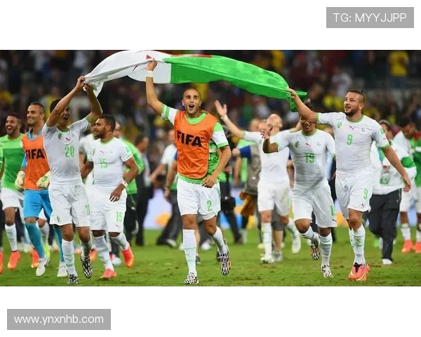 2014年巴西世界杯精彩出场仪式回顾墨西哥队的精彩表现与热情氛围